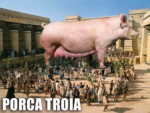 PORCA%2BTROIA.jpg