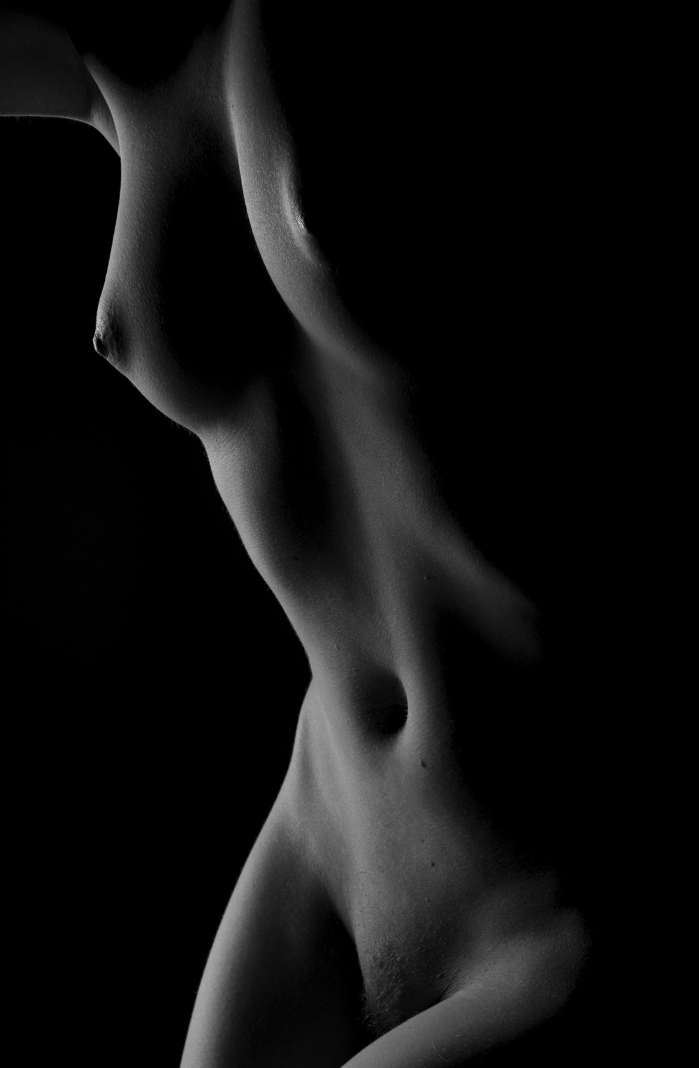 holly3-jpg.725573