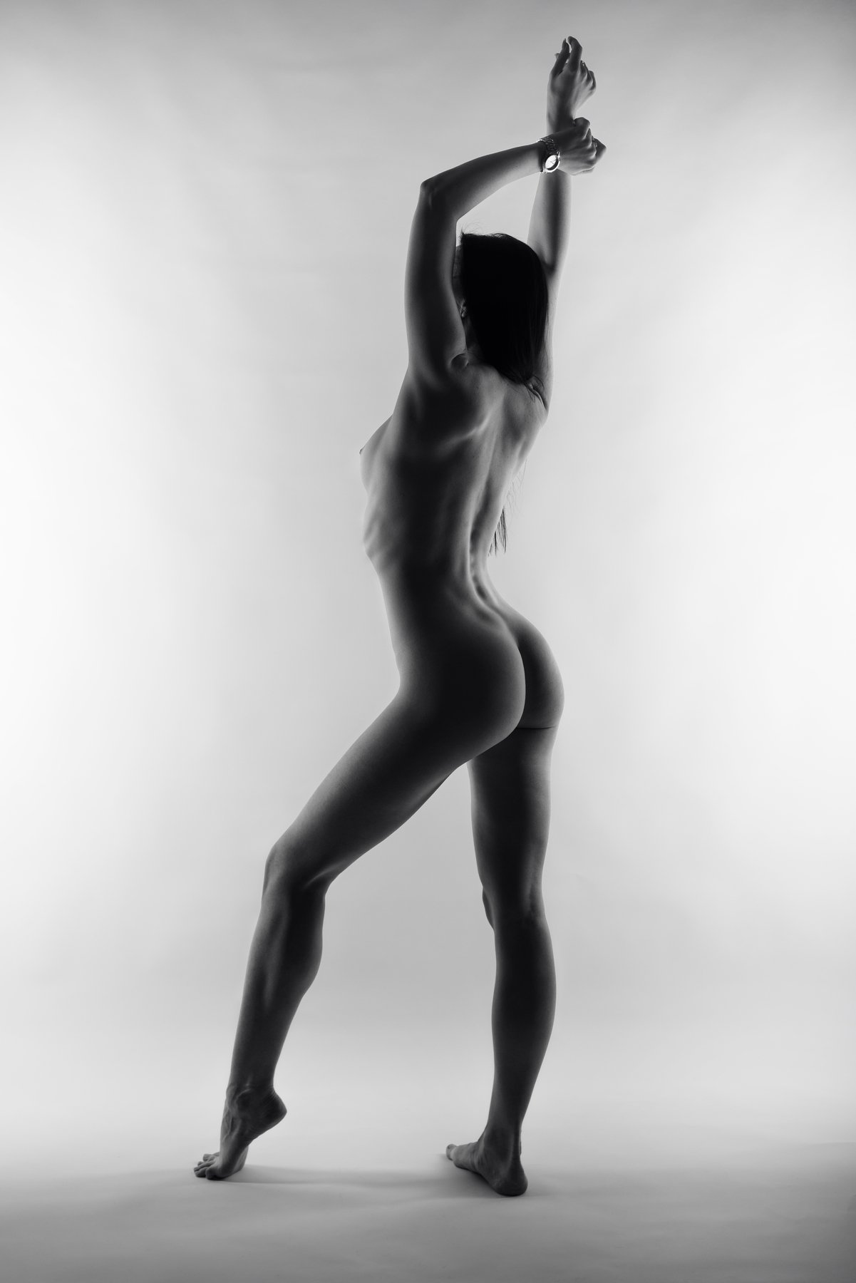 3314974.jpg