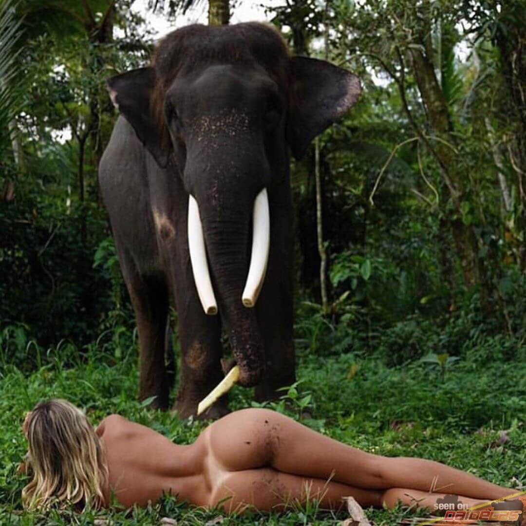 donna-nuda-elefante-culo.jpg