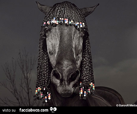 7vi7bb3bj3-cavallo-con-le-treccine-equitazione-ma-afro-style_a.jpg