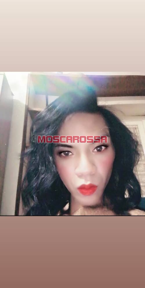 www.moscarossa.biz