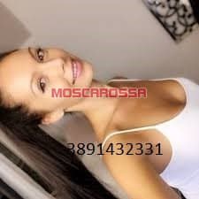 www.moscarossa.biz