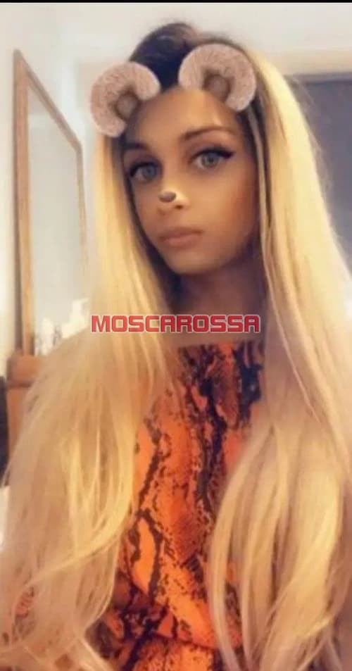 www.moscarossa.biz